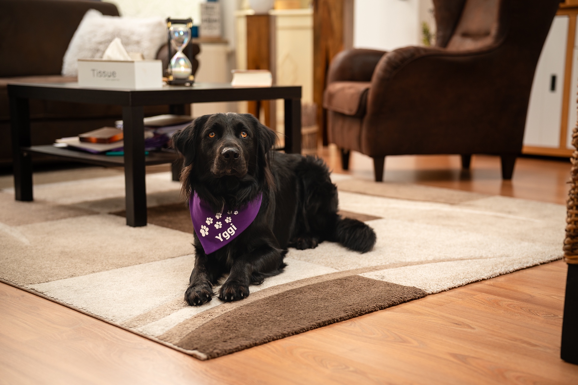 SL_07750.jpg_compressed